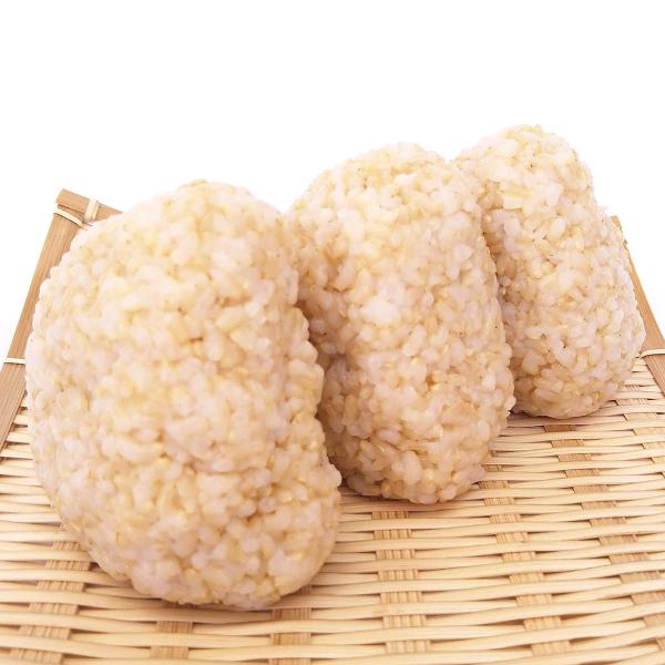 特別栽培米 秘境奥島根弥栄 玄米 10kg 米 国産 減農薬 美味しまね認証 減農薬米 島根産 島根