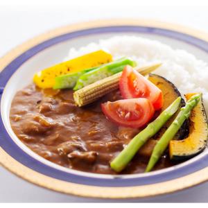 ノンオイル野菜カレー 20食 カレー 惣菜 脂質0 レトルトカレー 低カロリー 簡単調理 野菜｜nipponselect