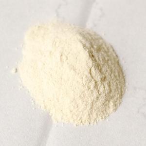 善玉菌の種 じゃばら サプリメント 粉 サプリ ...の商品画像