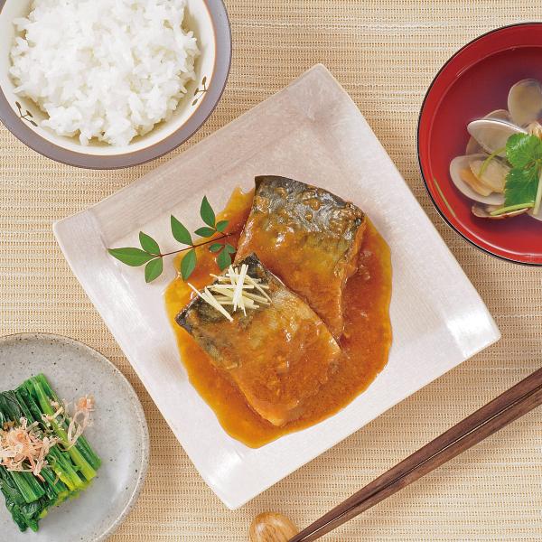 三陸食堂 気仙沼発 さば味噌煮 お手軽レンジ調理 12個 惣菜 サバ