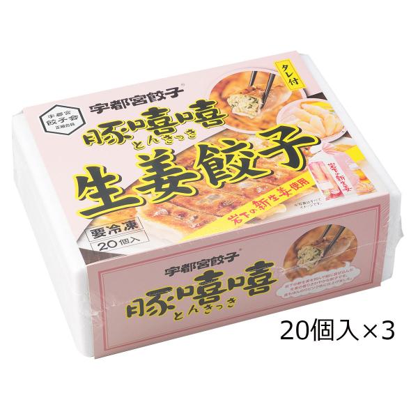 生姜餃子 20個入3箱 餃子 惣菜 中華 ぎょうざ 生姜 中華惣菜 おかず 冷凍 栃木 宇都宮餃子と...