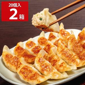 とんきっき餃子 20個入 2箱セット 360g×2 中華惣菜 冷凍餃子｜nipponselect