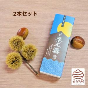 栗ようかん 2本セット ようかん 和菓子 国産 栗 スイーツ おやつ 羊羹 和スイーツ デザート 美郷栗 宮崎｜nipponselect