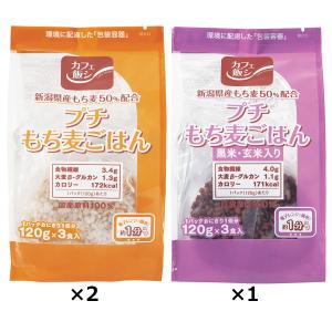 プチもち麦ごはん 2種計9食 詰め合わせ ごはん もち麦 新潟県産 ヘルシー 低カロリー 食物繊維 包装米飯 黒米 玄米 温めるだけ｜nipponselect