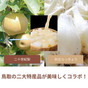 梨とらっきょうで作ったディップソース ラディッ...の詳細画像2