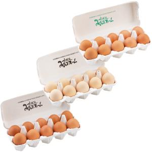 京丹波みずほファームのおすすめ卵 10個入3パック 3種 詰合せ 卵 たまご 国産 鶏卵 卵料理 生卵 みずほファーム｜nipponselect