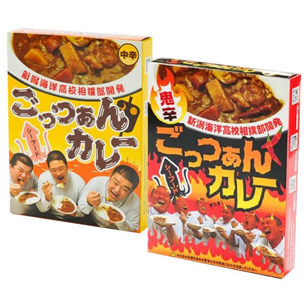 ごっつぁんカレー シーフード お試し 2種セット 鬼辛 中辛 レトルトカレー 辛口 カレー シーフー...