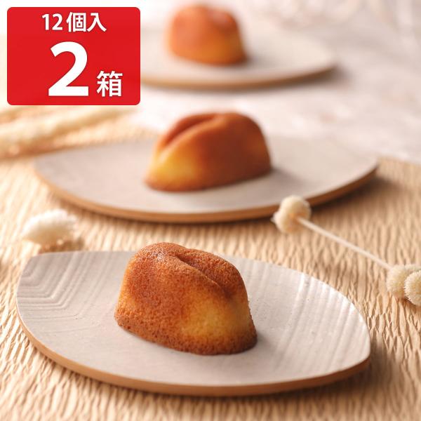 白ウサギフィナンシェ 12個入2箱セット フィナンシェ 洋菓子 菓子