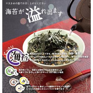 東京蒲田守半 海苔茶漬 5袋入 お茶漬けの素 ...の詳細画像3