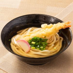 めん工房辻麺 手揚げエビ天入 天ぷらうどん 11食 冷凍うどん 天ぷら