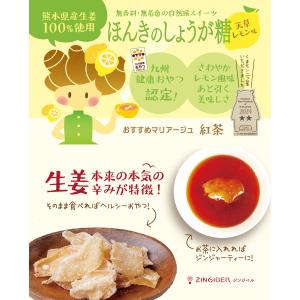 ジンジベル ほんきのしょうが糖 天草レモン味 ...の詳細画像3