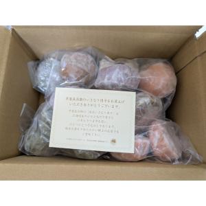 芋屋長兵衛 熊本いきなり団子 食べ比べセット ...の詳細画像4