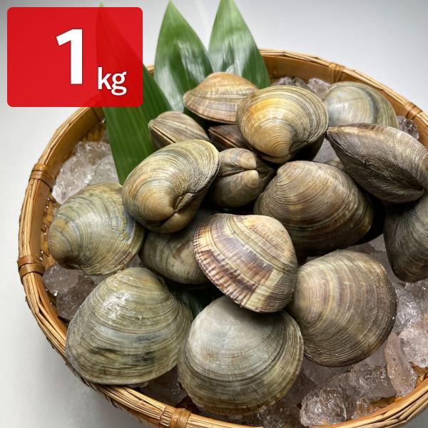 ホンビノス貝 冷凍 1kg ホンビノスガイ【沖縄県・離島 配送不可】