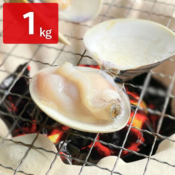 千葉県産 ハマグリ 冷凍 2パック はまぐり 国産【沖縄県・離島 配送不可】