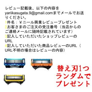 ジレットフュージョン プログライド フレックス...の詳細画像1