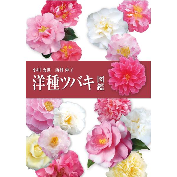 洋種ツバキ図鑑