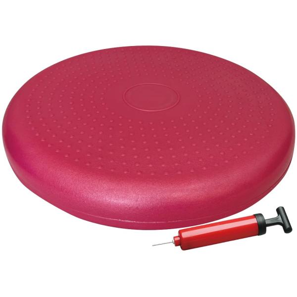 秦運動具工業 HATAS(ハタス) バランスディスクポンプ付セット DK450P