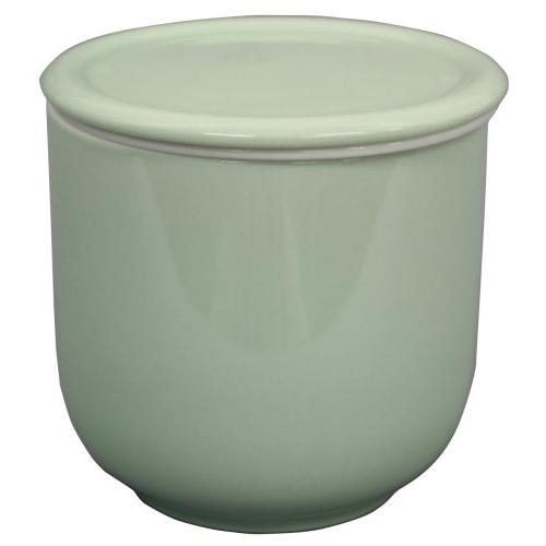 東洋セラミックス ねぎイキイキBOX グリーン