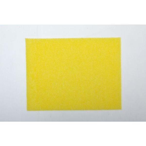 イケヒコ・コーポレーション い草 バスマット 乾くんだ マット敷 約40×50cm 日本製 #880...