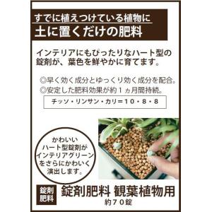 ハイポネックスジャパン 肥料 錠剤肥料 観葉植...の詳細画像1