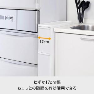 ライクイット (like-it) 分別ゴミ箱 ...の詳細画像3