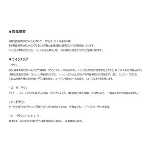 RS-R ( アールエスアール ) ダウンサス...の詳細画像1