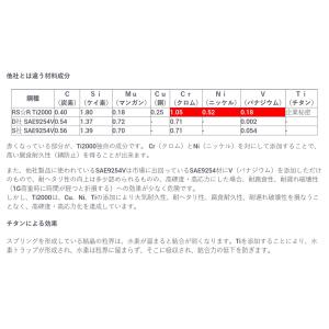 RS-R ( アールエスアール ) ダウンサス...の詳細画像3