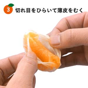 下村企販 ピーラー みかん剥き ムッキーちゃん...の詳細画像3