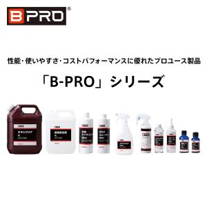 BPRO 未塗装樹脂用コーティング剤 樹脂ツヤ...の詳細画像3