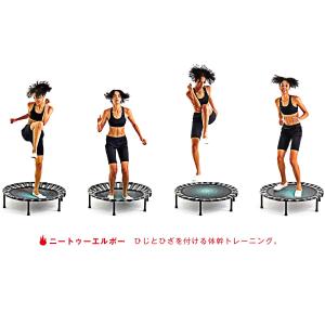 B-SANTE(ビサンテ) 静音室内用トランポ...の詳細画像5