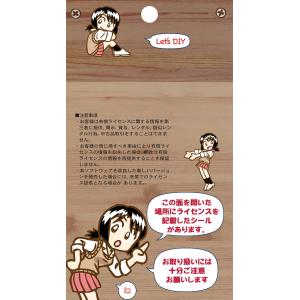 caDIY3D+ 標準ライセンスパック 【DI...の詳細画像2