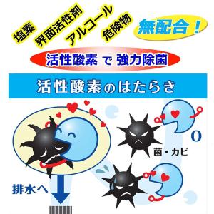 風呂釜 や 洗濯槽 洗いの 「 根こそぎ革命 ...の詳細画像3