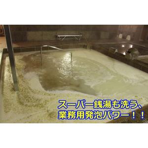 風呂釜 や 洗濯槽 洗いの 「 根こそぎ革命 ...の詳細画像5
