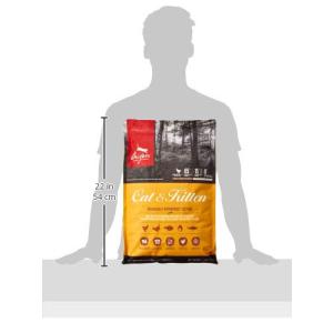 【正規品】カナダ産 オリジン オリジナルキャッ...の詳細画像2