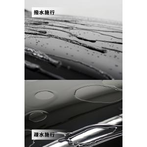 BPRO 車用コーティング剤 グラスポリマー(...の詳細画像2