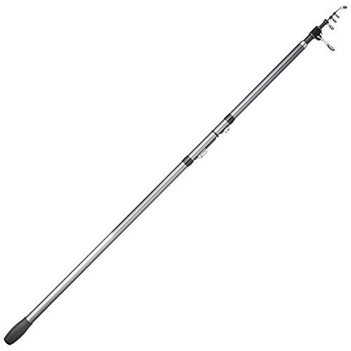 シマノ(SHIMANO) ロッド 投げ竿 17 ホリデースピン (振出) 405EXT 軽快な投げ釣...