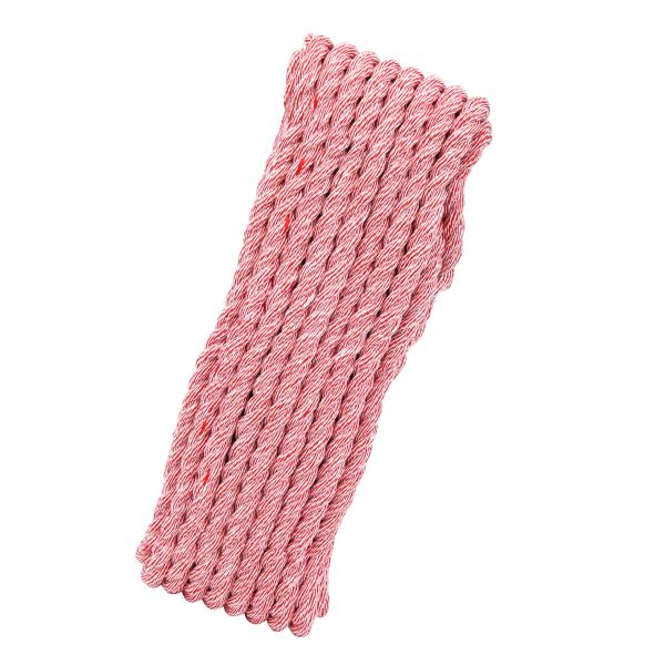 SK11(エスケー11) カラートラックロープ混撚 赤 12mm×10m 両端リング加工 SKCR-...