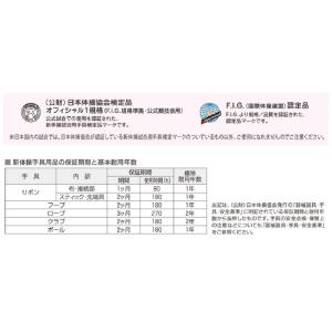 SASAKI(ササキ) 新体操 手具 リボン用...の詳細画像3
