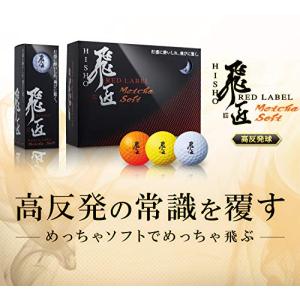 ワークスゴルフ(WORKS GOLF) 飛匠 ...の詳細画像1
