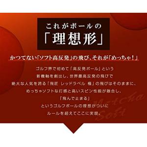 ワークスゴルフ(WORKS GOLF) 飛匠 ...の詳細画像3