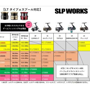 SLPワークス SLPW LT タイプアルファ...の詳細画像1