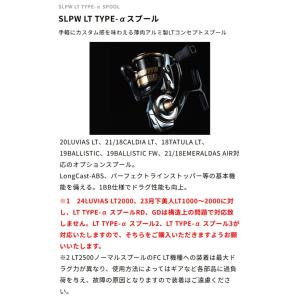 SLPワークス SLPW LT タイプアルファ...の詳細画像4