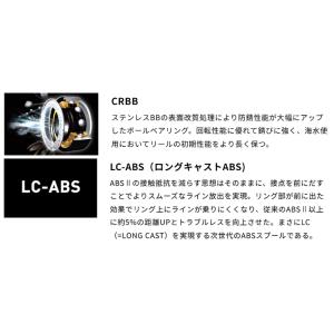 SLPワークス SLPW LT タイプアルファ...の詳細画像5