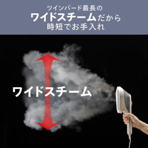 ツインバード 衣類スチーマー ハンディアイロン...の詳細画像1