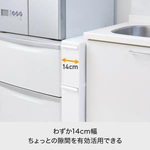 ライクイット (like-it) ダスト フタ...の詳細画像3