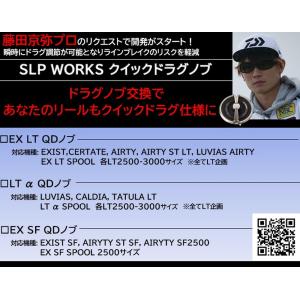 ダイワslpワークス(Daiwa Slp Wo...の詳細画像1