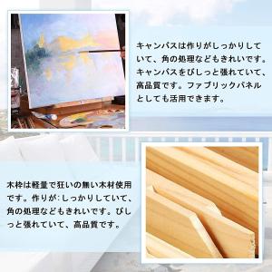 張りキャンバス F3 キャンバス 油絵 画材 ...の詳細画像4