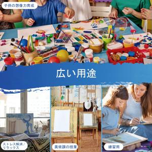 張りキャンバス F3 キャンバス 油絵 画材 ...の詳細画像5