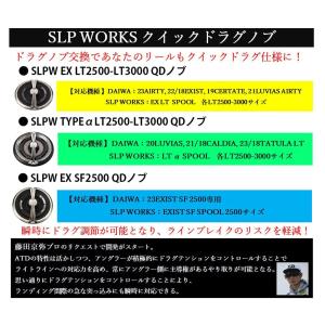 ダイワslpワークス(Daiwa Slp Wo...の詳細画像3