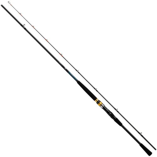 ダイワ(DAIWA) シーパワー73 80-300・N ブラック
